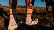 Ginger Mix Skate Stripes Socks